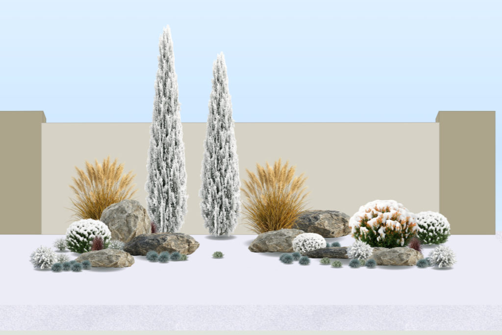 Mediterranean-inspired planting bed in winter